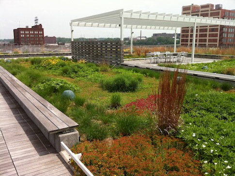 garden1.JPG