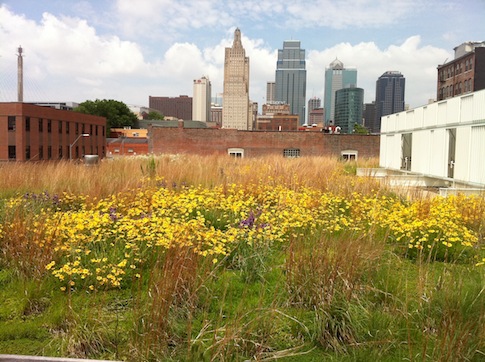 garden2.jpg