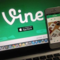 vine_feature